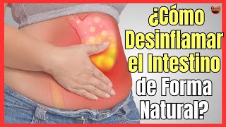 ⏰ ¿COMO DESINFLAMAR EL INTESTINO GRUESO Y DELGADO DE FORMA NATURAL ⏰ [upl. by Jodie]