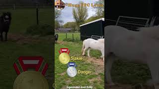 Sjakie Danger en Trienke in rangorde naar binnen ♥ voormalige Ponyparkcity pensionados [upl. by Justino]