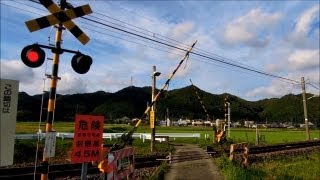 踏み切り Railway Crossing in Japan [upl. by Nadia153]