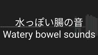 お腹の音Rumbling stomach体調不良時の水っぽい腸の音Watery bowel sounds when unwell [upl. by Randie]