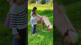 Mes Filles Câlinent un Poney Trop Mignon 🥹 humour shorts funny famille cheval poney short [upl. by Irrej887]