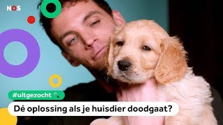 Kun je je huisdier klonen En is het een goed idee  UITGEZOCHT 8 [upl. by Janice]