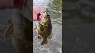 Fishing the Lower Allegheny smallmouthbass pike fishing [upl. by Lotsirk]