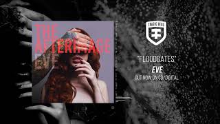 THE AFTERIMAGE  Floodgates Official Stream [upl. by Christmas713]