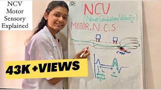 NCV test  Motor and sensory nerve conduction studies explained [upl. by Frierson]