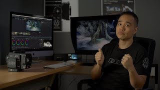 RED IPP2 Colour Grading in DaVinci Resolve [upl. by Oirottiv448]