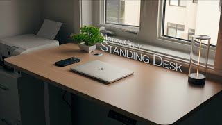 This Standing Desk Has No Business Being This GOOD Motiongrey M Series Desk Review [upl. by Namijneb]