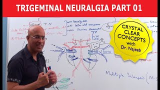 Trigeminal Neuralgia  Causes and Treatment  Part 1 [upl. by Akisey]