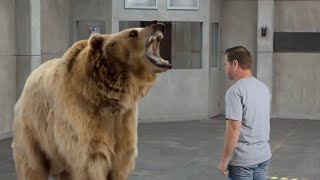 If quotReal Peoplequot Commercials were Real Life  CHEVY Fuel EfficiencyGrizzly Bear [upl. by Neelsaj644]