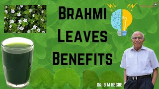 Brahmi Leaves Benefits [upl. by Noswal]