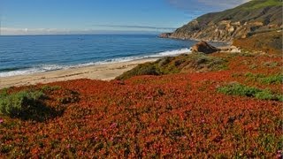 quotThe California Coastquot w Music 1 HR HEALING Nature Relaxation Video w Music 1080p [upl. by Artamas]