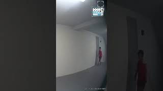 False Alarm Caught on Ring Doorbell [upl. by Rimidalg]