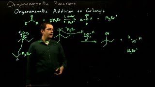 Organometallic ReactionsOrganic Chemistry II11 [upl. by Glynn]