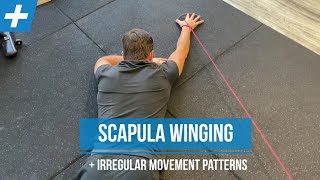 Exercises for Scapula Winging and Irregular Shoulder Movement  Pt 2  Tim Keeley  Physio REHAB [upl. by Prasad22]