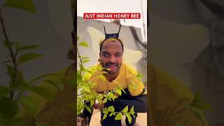 Just indian honey bee comedy honeybee funny shortsfeed shortsviral Ankuragarwalvines00 [upl. by Acinorev]