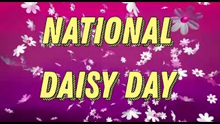 National Daisy Day January 28  Activities and Why We Love Daisy Day [upl. by Eckhardt]