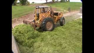 Volvo BM LM 841 pushing up silage [upl. by Eednarb498]