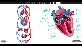 Symptomatology in Pediatrics [upl. by Berny]