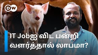 ”தமிழ்நாட்டில் Pork Meatக்கு Demand அதிகம்”  Pig Farming மூலம் Profit ஈட்டும் Tenkasi இளைஞர் [upl. by Duma643]