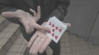 Consistent Earnestness  Cardistry performance by Soki [upl. by Atsocal]