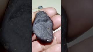 carbonado black diamond meteorite please subscribe like comment and share thanks [upl. by Naryk389]