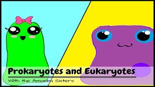 OLD VIDEO Prokaryotes and Eukaryotes [upl. by Alexio]