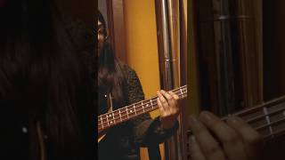 Procedimientos para llegar a un común acuerdo  Cover Bass [upl. by Clerc]