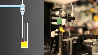 Mispa i3 Cartridge Based Specific Protein Analyser [upl. by Wehhtam]