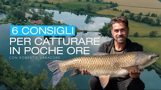 6 CONSIGLI per catturare in poche ore a carp fishing [upl. by Willtrude]