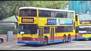 Hong Kong Bus CTB 590  592 城巴 Volvo Olympian 銅鑼灣 摩頓臺  海怡半島 [upl. by Willamina]