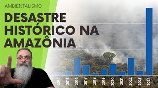 ÍNDICE de DEVASTAÇÃO da AMAZÔNIA atinge RECORD HISTÓRICO em 2024 com DESCASO e HIPOCRISIA de LULA [upl. by Cicely]