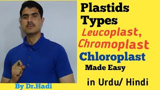 Plastids its Types Leucoplast Chromoplast and Chloroplast Lecture 12 in Urdu Hindi [upl. by Ruddy]