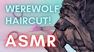 The Werewolves Get A Haircut ASMR Boyfriend MM4FMM4A [upl. by Ploss304]