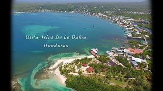 Utila Islas De La Bahia Honduras Bay Islands [upl. by Yesoj]