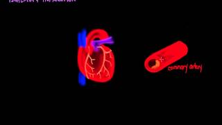 Ischemia and Infarction [upl. by Kahcztiy]