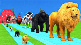 Paint amp Animals CowGorillaElephantGiraffeTigerLion Fountain Crossing Transformation Cartoon [upl. by Seroka779]