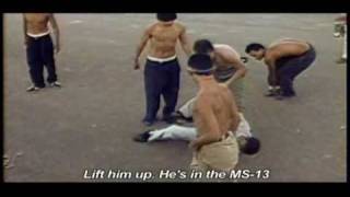 MS13 Fights  Hijos de la Guerra Children of War MS13 Trailer [upl. by Cohin]