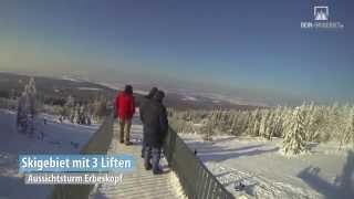 Aussichtsturm am Erbeskopf [upl. by Ermeena]