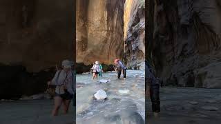 The Ultimate Zion Narrows Hike Experience zionnationalpark hikingadventure water hiking [upl. by Clifford]