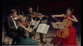 Edvard Grieg  String Quartet in g minor op 27  Nordic String Quartet HD [upl. by Andrei]