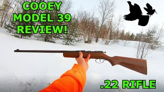 COOEY Model 39 Single Shot 22 Rifle REVIEW [upl. by Ettecul]