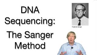 DNA Sequencing Sanger Method and Beyond Explained [upl. by Fiester694]