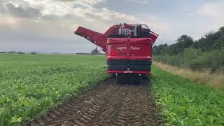 Agrifac Beet Harvester [upl. by Darelle]