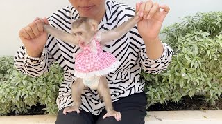 Baby Jelly Super Cutie Wearing Pink Frock Sit Playing On Garden In Yard [upl. by Tremain]