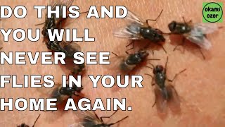 Simple and easy ways to Keep House Flies Away from your home [upl. by Anyotal]