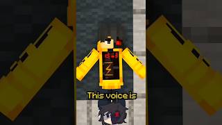 Ethos Voice Glitch In Minecraft [upl. by Martine414]