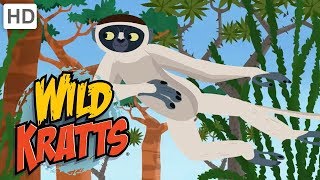 Wild Kratts  Leaping Lemurs Part 2 Special Moves and Scented Clues [upl. by Icat883]