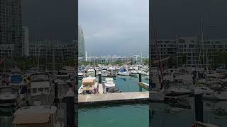 Caribbean at Keppel Bay Singapore explore travel nature shorts [upl. by Arracahs]