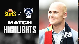 Gold Coast Suns v Geelong Cats Highlights  Round 22 2022  AFL [upl. by Tedd]