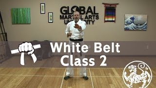 Shotokan Karate Follow Along Class  9th Kyu White Belt  Class 2 [upl. by Krystin]